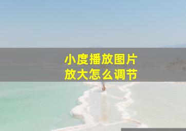 小度播放图片放大怎么调节