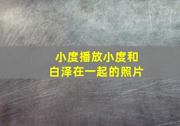 小度播放小度和白泽在一起的照片