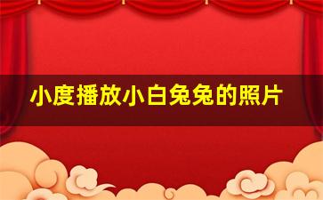 小度播放小白兔兔的照片