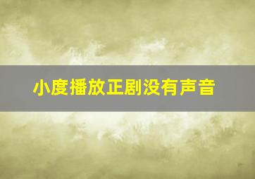 小度播放正剧没有声音