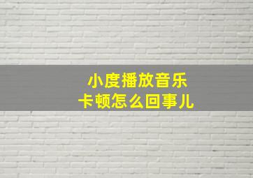 小度播放音乐卡顿怎么回事儿