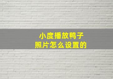 小度播放鸭子照片怎么设置的