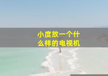 小度放一个什么样的电视机