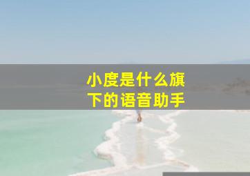 小度是什么旗下的语音助手