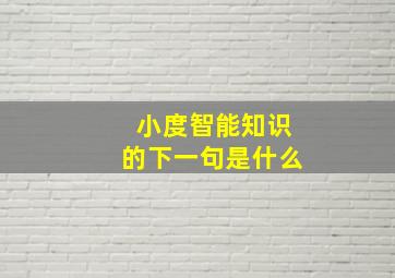 小度智能知识的下一句是什么