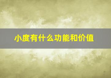 小度有什么功能和价值