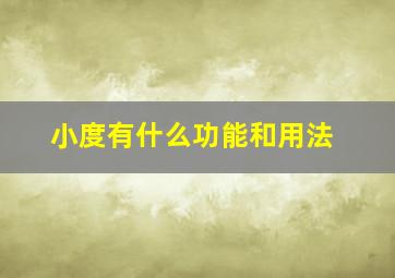 小度有什么功能和用法