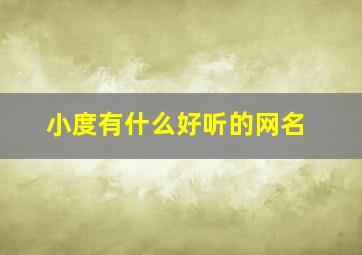 小度有什么好听的网名