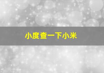 小度查一下小米