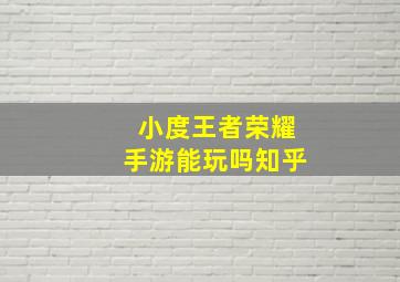 小度王者荣耀手游能玩吗知乎