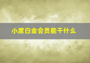 小度白金会员能干什么