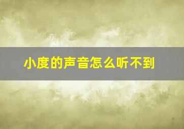 小度的声音怎么听不到