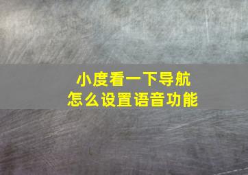 小度看一下导航怎么设置语音功能