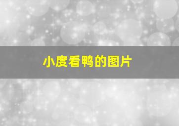 小度看鸭的图片