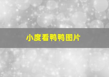 小度看鸭鸭图片