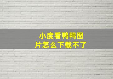 小度看鸭鸭图片怎么下载不了