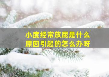 小度经常放屁是什么原因引起的怎么办呀