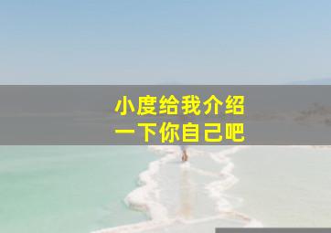 小度给我介绍一下你自己吧