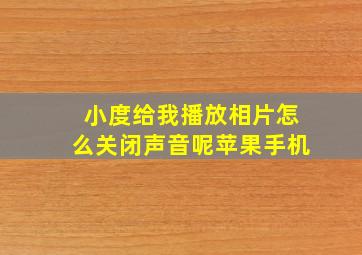 小度给我播放相片怎么关闭声音呢苹果手机