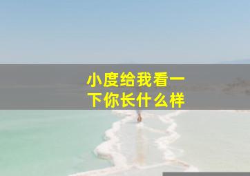 小度给我看一下你长什么样