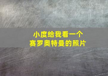 小度给我看一个赛罗奥特曼的照片