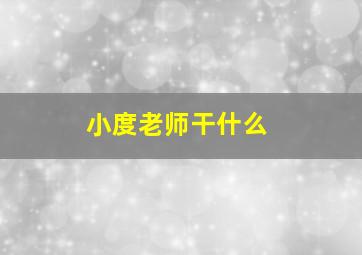 小度老师干什么