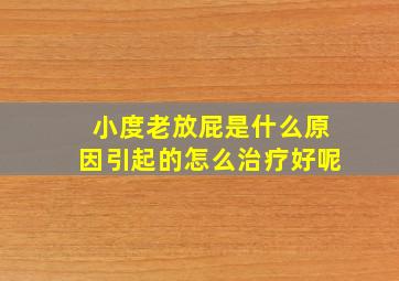 小度老放屁是什么原因引起的怎么治疗好呢