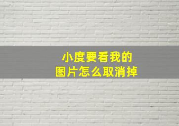 小度要看我的图片怎么取消掉