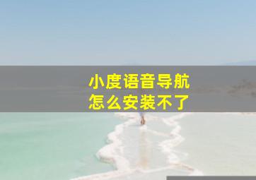 小度语音导航怎么安装不了