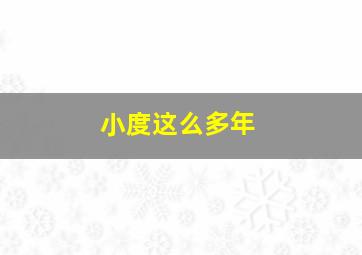 小度这么多年