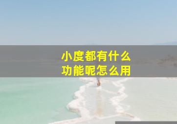 小度都有什么功能呢怎么用