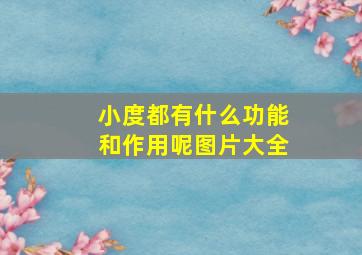 小度都有什么功能和作用呢图片大全