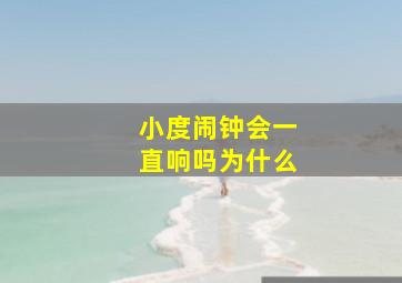 小度闹钟会一直响吗为什么