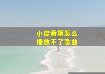 小度音箱怎么播放不了歌曲