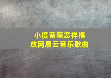 小度音箱怎样播放网易云音乐歌曲