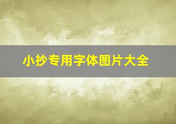 小抄专用字体图片大全