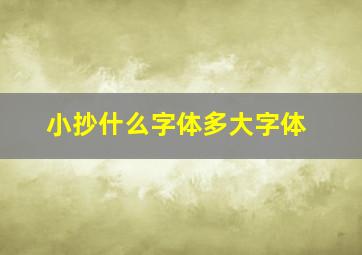 小抄什么字体多大字体