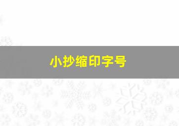 小抄缩印字号