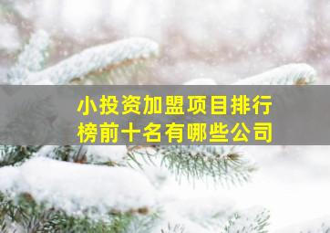 小投资加盟项目排行榜前十名有哪些公司