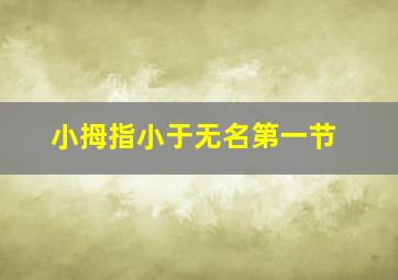 小拇指小于无名第一节