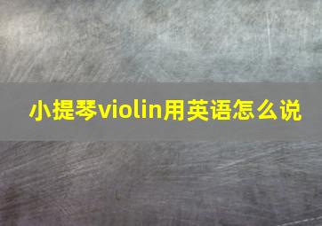 小提琴violin用英语怎么说