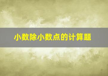 小数除小数点的计算题