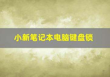 小新笔记本电脑键盘锁