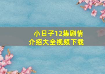 小日子12集剧情介绍大全视频下载