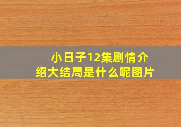 小日子12集剧情介绍大结局是什么呢图片