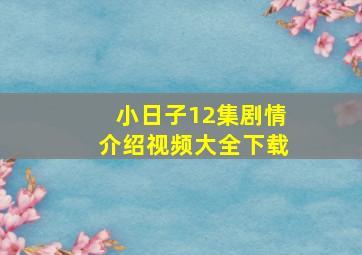 小日子12集剧情介绍视频大全下载