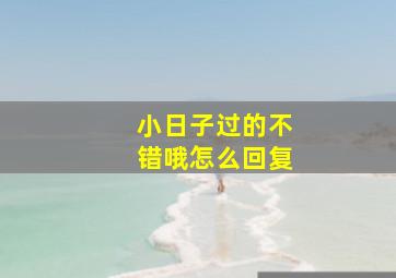 小日子过的不错哦怎么回复