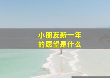 小朋友新一年的愿望是什么