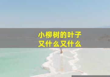 小柳树的叶子又什么又什么