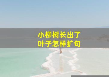 小柳树长出了叶子怎样扩句